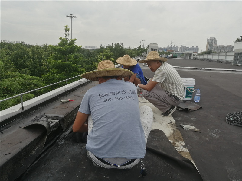  广州口碑较好的防水补漏公司 防水补漏 卫生间防水补漏方法 金属防水材料 防水补漏喷剂有用吗 第2张
