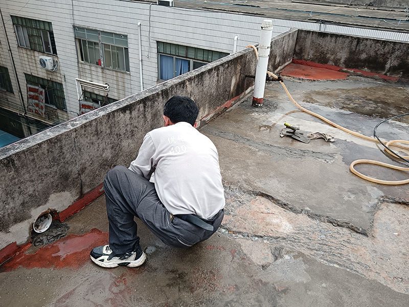 1713172830169905.jpg 微信图片_20240412164441 拷贝.jpg