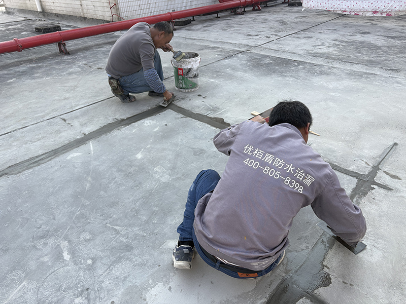 微信图片_2026-02-02_161634_506 拷贝.jpg