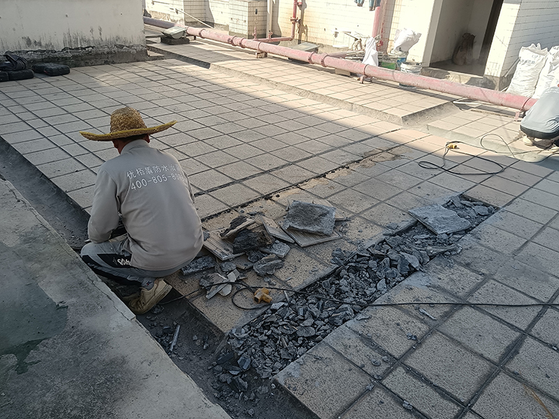 微信图片_20241114143819 拷贝.jpg