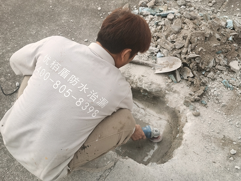 1787045999649819.jpg 微信图片_2026-01-15_154958_468 拷贝.jpg